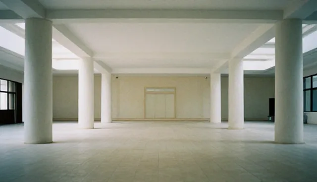 系统集成检查要点:技术支持的适用条件与选择依据