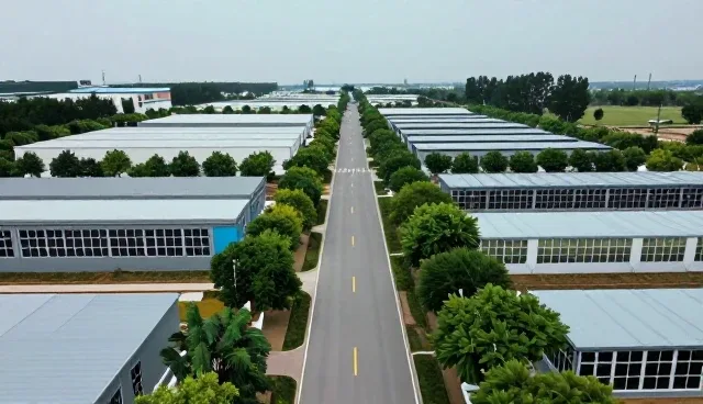 提升防护能力：成本控制中的技术支持服务包应用实践